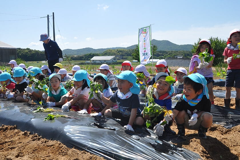 県域における食育イベント・農業体験の開催支援 イメージ写真